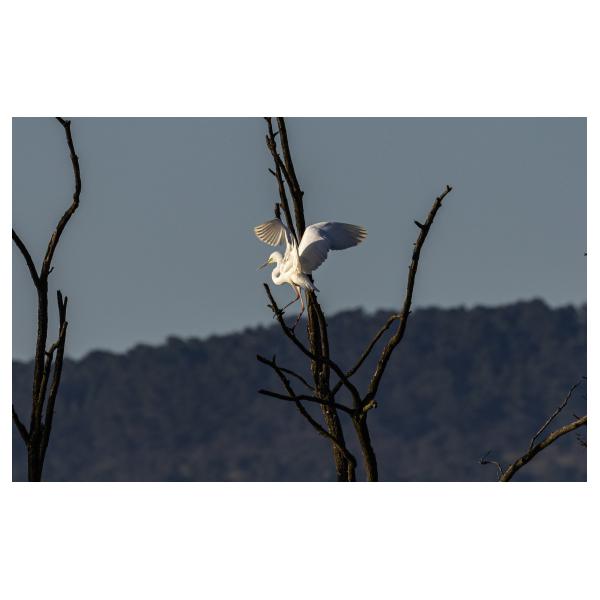 PHOTO84, CLUB, 84 , LUBERON